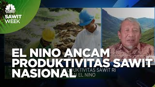 El Nino Mengancam, Produktivitas Sawit Nasional Apa Kabar?