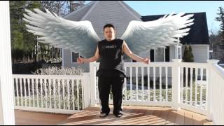 Adobe After Effects: Angel Wings V.2