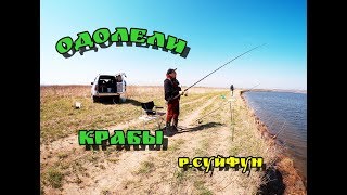 РЫБАЛКА . БЕЗУМНО ОДОЛЕЛИ КРАБЫ.  МАРДУШКА.
