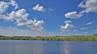 Отдыхаем на реке Орель.  Наслаждаемся красотой природы
