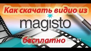 Как скачать видео из Magisto бесплатно