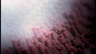 Le roman de l'eau : l'eau et sa planète