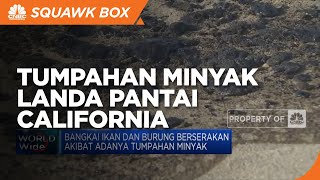 Tumpahan Minyak Melanda Pantai California