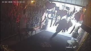 Тур по Европе: Саакашвили назвал следующие шаги