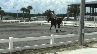 Kona Hack Winner Baby Green NFHJA Fall 2009