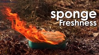sponge Freshness || Как горит губка для душа