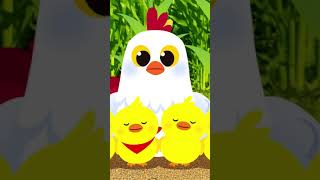 Los Pollitos Dicen Pío Pío Pío #Pinkfong #Shorts #Animales