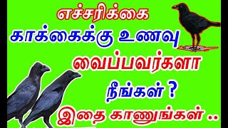 காக்கைக்கு  சாப்பாடு  வைப்பவரா நீங்கள் ? | இதை காணுங்கள் | keep food to crow in morning | annadhanam