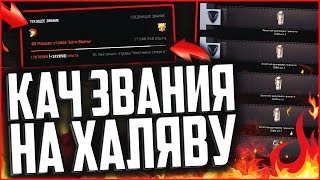 320 000 ОПЫТА НА ХАЛЯВУ В WARFACE | КАЧ ЗВАНИЯ НА КОРОБКЕ С ЗОЛОТЫМ ДЫМОМ В ВАРФЕЙС