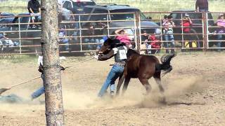 Wild Horse Race
