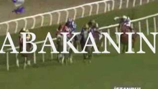 Halis Karataş ın Tarihçesi