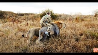 Журналисты среди львов .Тайган