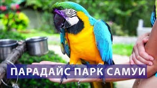 Парадайз Парк Самуи | Цены | Отзывы | Авитип