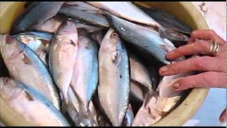 mumbai fish market by supriya Kurhade