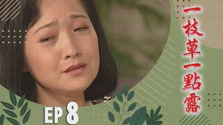 一枝草一點露 EP8