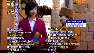 Нунь Ши Хунцин из китая, Бретарианка. ч1