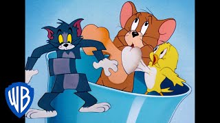 Tom et Jerry en Français | Voilà les oiseaux