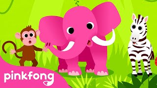 Animales, Animales ???? | Canciones de Animales | Pinkfong Canciones Infantiles