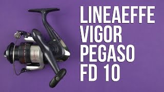 Распаковка Lineaeffe Vigor Pegaso FD 10