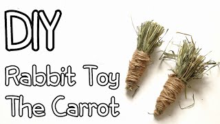How To Make Homemade Rabbit Toy The Carrot DIY