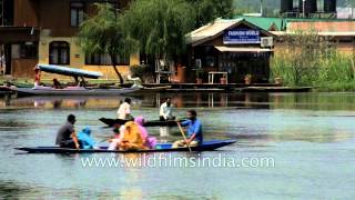 Sailing on Dal lake: Srinagar