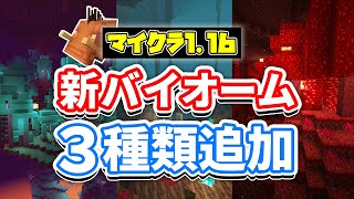 【マイクラ1.16】新ネザーバイオーム3種類追加！(歪んだ森・真紅の森・ソウルサンドの谷)【マインクラフト1.16】Snapshot20w06a