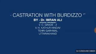 CASTRATION WITH BURDIZZO