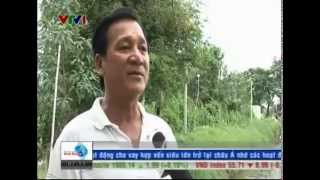 Ngườii nuôi cá tra và doanh nghiệp gặp khó với Quy định mới - Nguồn VTV