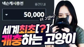 우리 집 고양이 바미는 이런... 재능이 있어요 ^^..... [안겨]