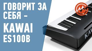 Цифровое пианино KAWAI ES100B (Christina Aguilera Hurt Cover)