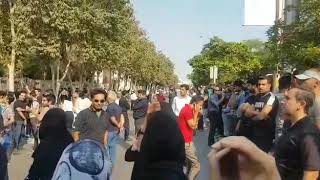 Fuel price hike sparks protests by women and youths in 65 cities