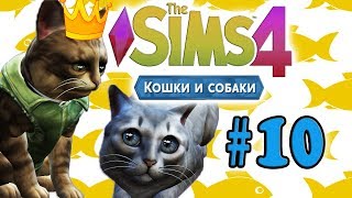 The Sims 4 Кошки и Собаки #10 - ♥Кошачий Прайд♥