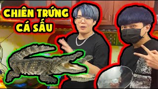 PHONG CẬN VÀ SIRO LẦN ĐẦU ĂN THỬ TRỨNG CÁ SẤU ĐÁNG SỢ KINH DỊ LÚC 3 GIỜ SÁNG VÀ CÁI KẾT SIÊU HÀI