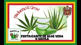 Fertilizante de Aloe o Savila para planta de Marihuana.
