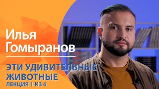 Эти удивительные животные. Илья Гомыранов. Лекция 1 из 6