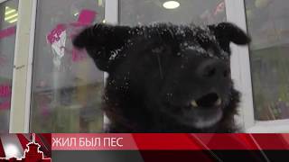 Жил был пес