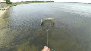 Ловля гидробионтов для аквариума в Бугский лимане на даче/Wild biotope in an aquarium (Golobabelus M
