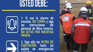 video induccion visitas 01
