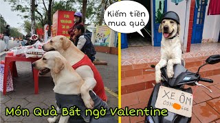 Món Quà Bất Ngờ Valentine - Củ Cải đã kiếm tiền như thế nào?