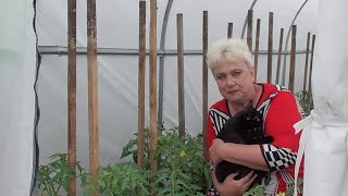 ЧУДО - ТЕПЛИЦА. МОИ ПЕРВЫЕ ВПЕЧАТЛЕНИЯ. 