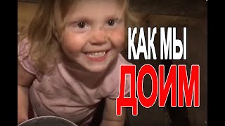Как мы доим!