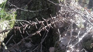 Зимние приключения Раскопки по второй мировой