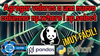 ???? ¿Cómo hacer una nueva columna y asignar valores de forma condicional? | Pandas | Python