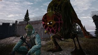 Stalker Online ? А что это вы тут делаете?)) ? Сервер ??? ? QHD