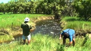 Helifish Run Off 2013