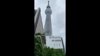スカイツリーに行ってみた