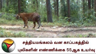 சத்தியமங்கலம் வன காப்பகத்தில் புலிகளின் எண்ணிக்கை 55ஆக உயர்வு | Tiger Reserve|Sathyamangalam