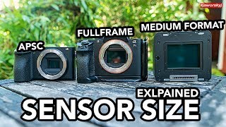 Does CAMERA SENSOR SIZE matter? ? 2018