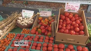 Eastern Connecticut's first certified organic farm keeping it fresh