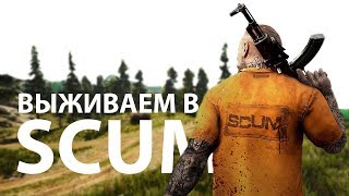 Выживаем в SCUM (Стрим в 1440p)
